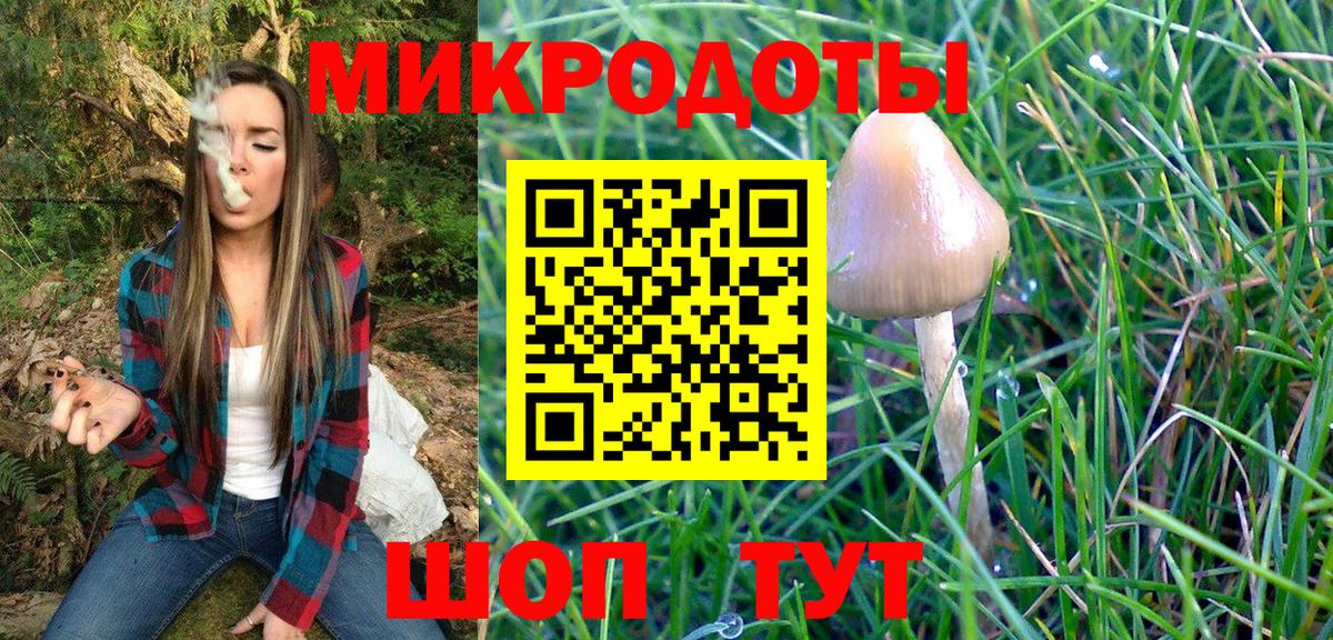 Галлюциногенные грибы мухоморы  Вход с VPN  Звенигород 
