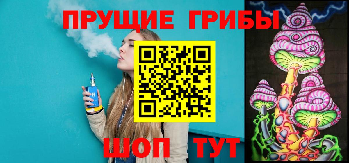 Псилоцибиновые грибы Cubensis Звенигород